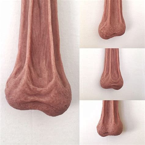 dick pis|Human penis